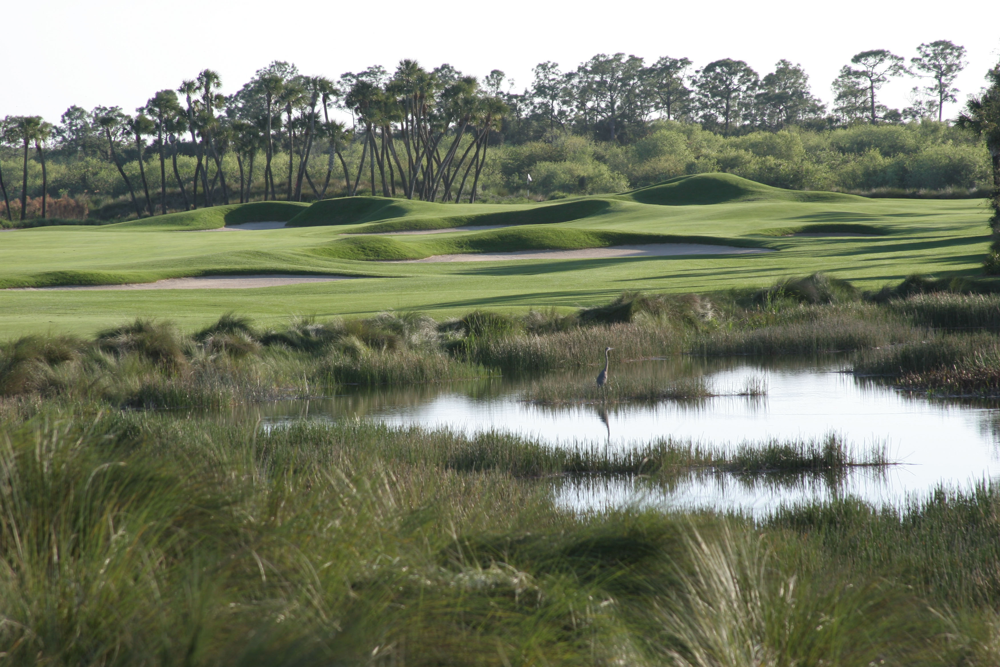 Fiddler’s Creek Golf Course Gryphon Golf and Ski